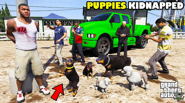 Franklin Trying To Rescue Chop Stolen Puppies In GTA 5 | SHINCHAN and CHOP