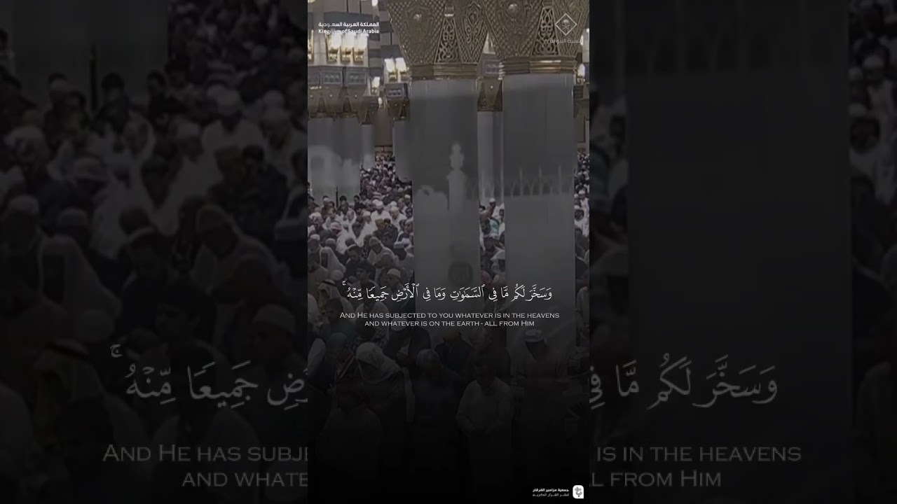 مقتطف من تلاوة فضيلة الشيخ #محمد_برهجي من فجر 22 جمادى الأولى 1447هـ