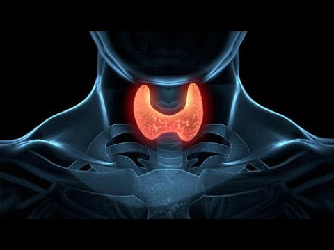 Vídeo: Anticuerpo Microsomal Antitiroideo: Procedimiento, Riesgos Y Resultados