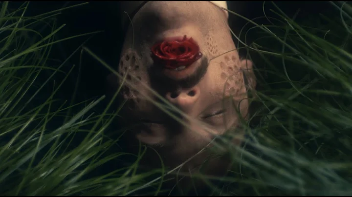 Jerry Cantrell - Brighten (Official Video)