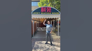 Trying 3.5/5 Rated Chinese Dim Sum Food l My Honest Thoughts 🤯