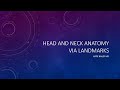 Head and neck anatomy landmarks