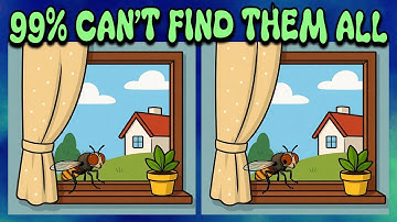 🧩 Spot the 3 Differences – Only a Sharp Eye Can Solve This Puzzle 🔍 Differences Finder