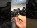 Sensor Grip Fitting #alsharifautocare #fyp #pakwheels