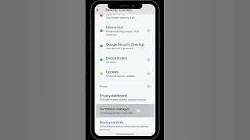 How to enable permission for TheOneSpy application to read contacts?