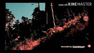 Jedidiah Cudby In Bamdi