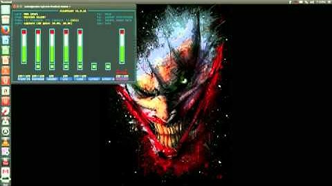 Alsa Line in tutorial ubuntu 13 04