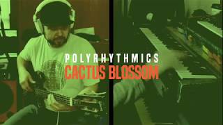 Video voorbeeld van "Polyrhythmics - Cactus Blossom [Official Video]"