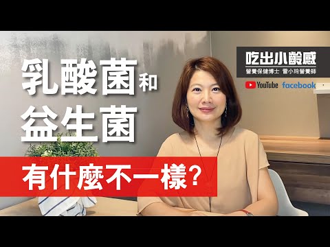 乳酸菌和益生菌有什麼不一樣?