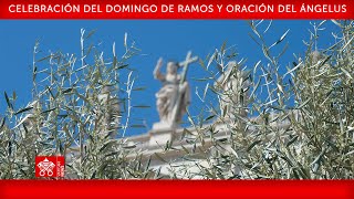 02 de abril de 2023, Celebración del Domingo de Ramos, Oración del Ángelus | Papa Francisco