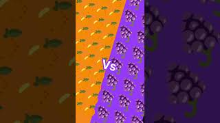 maranja vs mora