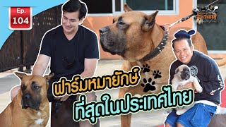 ฟาร์มหมายักษ์ที่สุดในประเทศไทย - เพื่อนรักสัตว์เอ๊ย EP.104