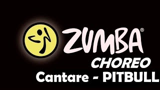 Pitbull&Lenier - Cantare - Zumba®fitness with Ira