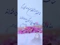 شاعر دیوانه