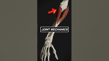 Elbow joint mechanics in motion! #3d #anatomy #medical #animation #medicalstudent