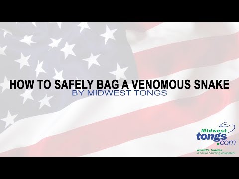 How To Safely Bag A Venomous Snake | By Midwest