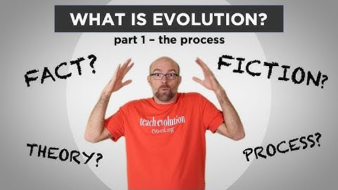 Evolution: Fact or Fiction? Part 1 - The Process
