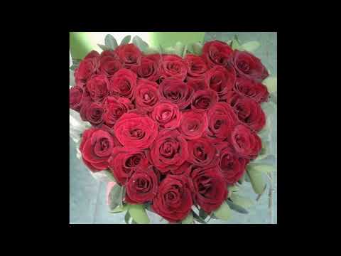 ნინო ოკინაშვილი! ❤❤❤