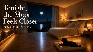 Tonight, the Moon Feels Closer 🌙 今夜の月は、少し近い 🌙Moonlight Sleep Music • Relaxing Lofi Guitar [2 Hours]
