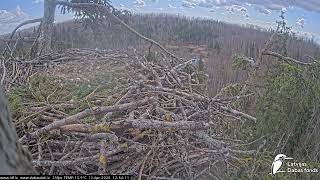 J E20260412 125400BigWingsFlyBy