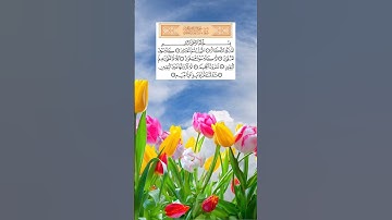 Surah At-Tukathur { سورة التكاثر }  ☆♤☆  الشيخ هيثم الدخين