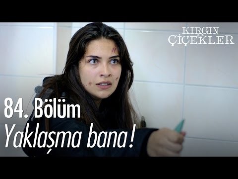 Yaklaşma bana! - Kırgın Çiçekler 84. Bölüm - atv