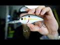 UNBOXING: Deep Diving Crankbaits &amp; New ESP Rod