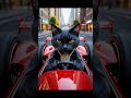گربه قشنگ           #animation #video #viral #love #Trending #youtube