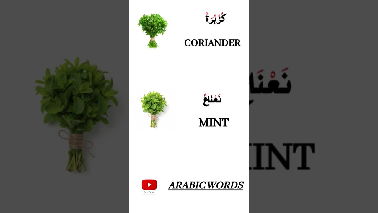 learn Arabic and English vocabulary#ArabicWords #LearnArabic #ArabicShorts #EnglishMeaning #Shorts