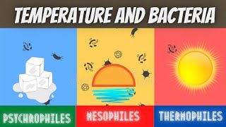 Lecture#12 || Classification of Bacteria a/c to temperature| Class XI