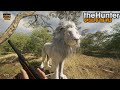 THEHUNTER COTW #77 NOUVELLE CHASSE SUR VURHONGA SAVANNA - LION ALBINOS