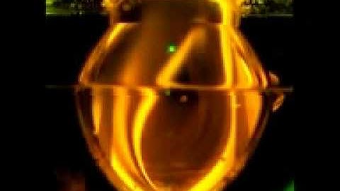 flow visualization in aneurysm model invoving branch