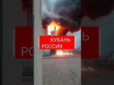 На Кубани в