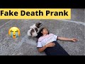 Death Prank on My Dog JoJo || Himachal Wali