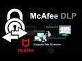 Огляд рішень Mcafee DLP