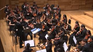 Alla Turca (Turkish March)  Mozart | SP String Ensemble