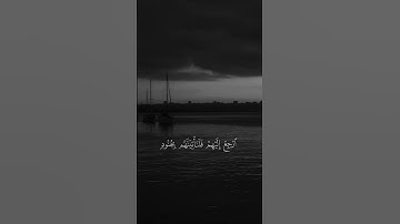 سورة النمل ❤ #قرآن #اكسبلور #quran #allah