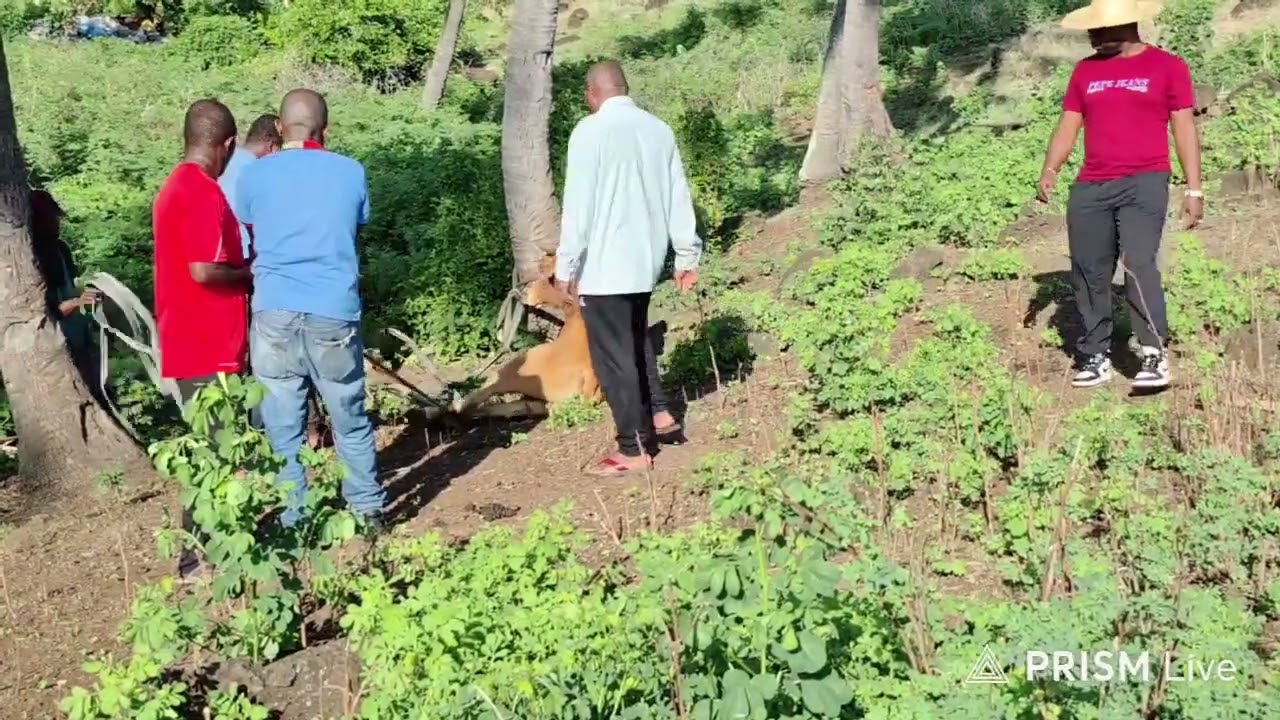 MBE YAHE MADJLISSE YA ISMAEL M'MADI & NADIA SAID SIMBA