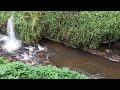 Karimutty water falls, Marayoor.
