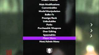 WAW Der Riese Mod Menu Motion Flex v1