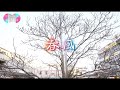 大阪☆春夏秋冬 / 春風 -Collaboration MV-