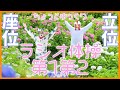 【ちょっとゆっくりラジオ体操第一第二】座位＋立位😄　笑顔で楽しく元気よく！
