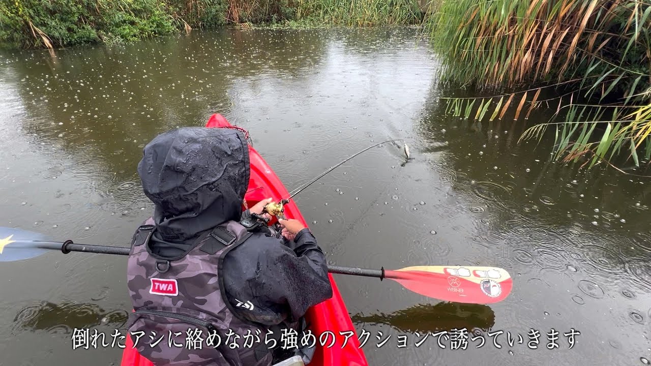 （秋の荒喰い）雨降りの琵琶湖 秋爆トップウォーター編【DAY1~4】真っ昼間の琵琶湖の真ん中でモンスター級のブラックバスがウヨウヨいてる！！