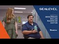 SEALEVEL Sketch subt. - Seguridad en Base de Datos