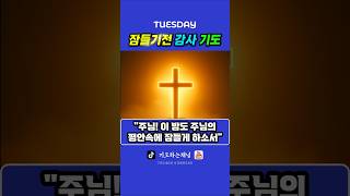 화요일밤 잠들기전 회개와 감사기도 #잠들기전기도 #1분기도 #기도하는채널 #shorts