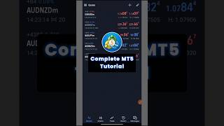 How to Trade On Mt5 #metatrader5 #mt5 #forex #crypto