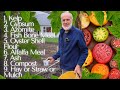 Organic garden secrets for healthy soil best soil nutrients 4 growing world record giant tomatoes