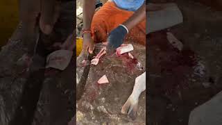 fish cutting video/Kasimedu fish market