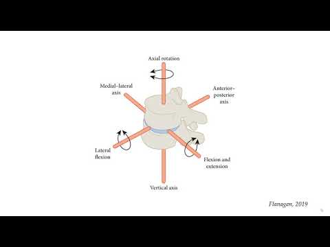 Joints of the Axial Skeleton