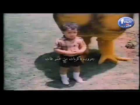 اعلان كوكو واو من بم بم